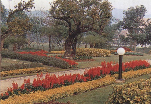 garden.jpg